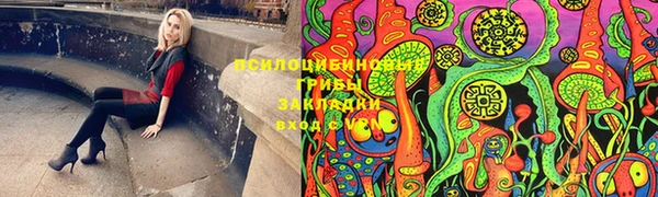 сатива Приозерск