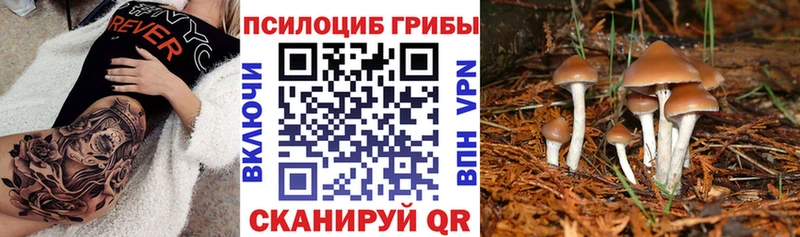 Галлюциногенные грибы мицелий  Приозерск 